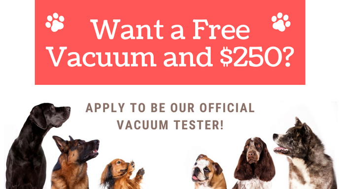 Want a Free Vacuum and $250? Apply to Be Our Official Vacuum Tester!