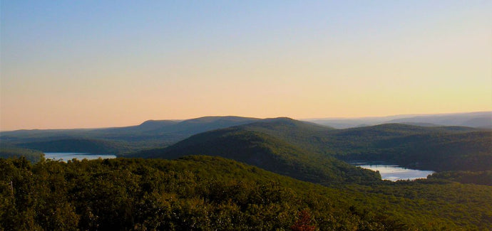 Contemplating the Devotions of W.S. Merwin in the Wilds of North Jersey