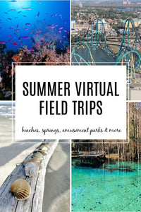 Summer Virtual Field Trips for Kids