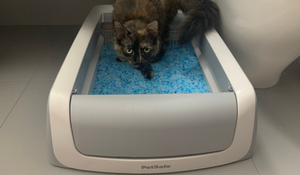 The PetSafe self-scooping litter box makes you choose between convenience, recurring costs, and the environment